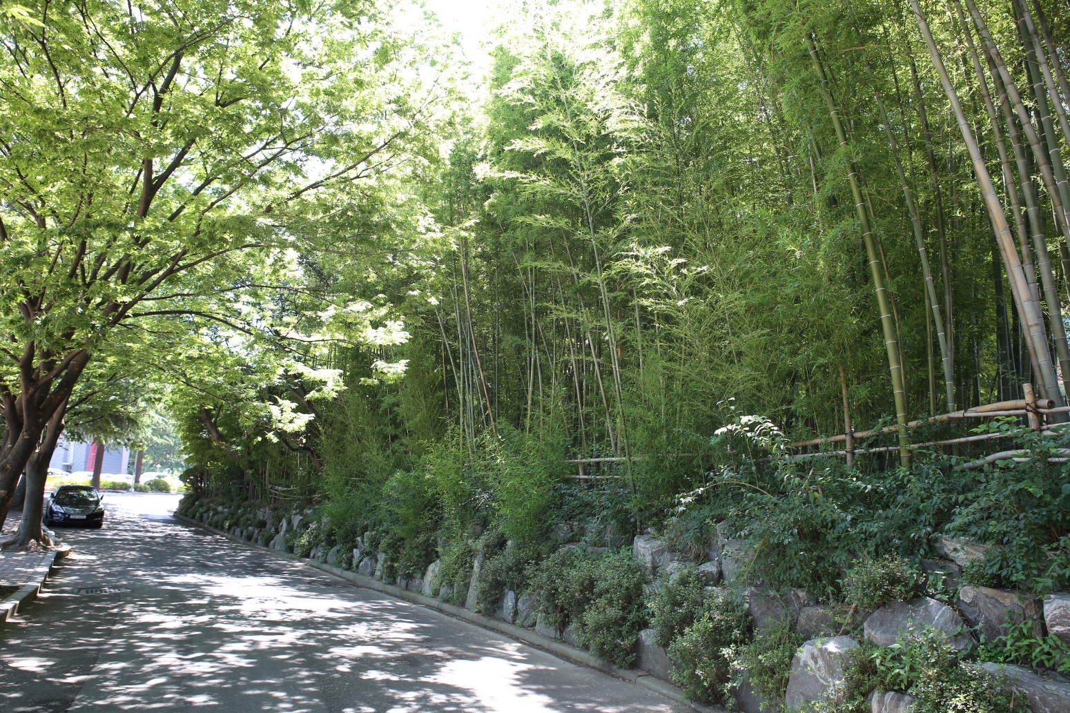 test